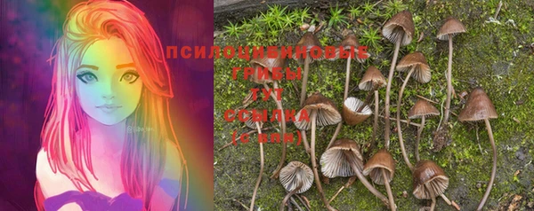 дмт Алексеевка