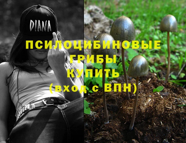 дмт Алексеевка